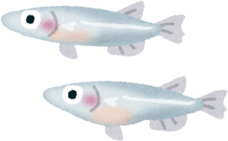 Illustration of Cute White Medaka Fish